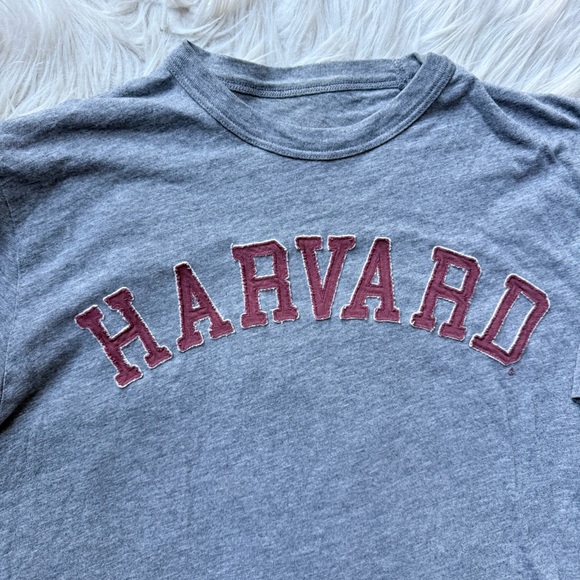 Vintage Y2K Style Harvard Heather Gray T-Shirt Slubby Slouchy Patches Collegiate - Picture 2 of 10